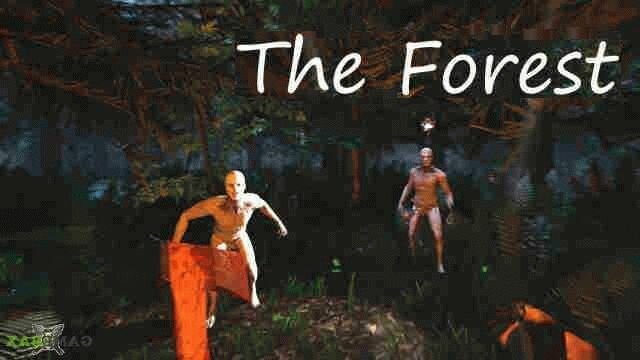 The Forest  