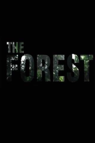 The Forest играть онлайн